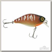 Воблер Jackall Chubby 38 bug tiger