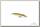 Воблер Pontoon21 Marionette Minnow 90SP-SR-R60