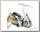 Катушка Daiwa 21 Freams LT 4000 C