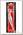 Воблер Lucky Craft Pointer 100 SP 270 MS american shad