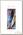 Воблер Jackall Squad shad 65 oikawa