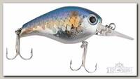 Воблер Lucky Craft Clutch MR 270 MS american shad