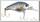 Воблер Lucky Craft Clutch MR 270 MS american shad