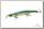 Воблер Jackall Mag squad 115 SP ss shad