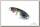Блесна Xesta Black star aji spoon 5гр 53.cc