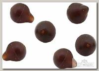 Бусина Nautilus Tear drop helicopter soft beads brown