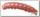 Приманка Crazy Fish h-worm inline 1,1