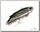 Воблер Daiwa Morethan Minient 57S раттлин multi iwashi