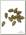 Бусина Korda Safe zone heli bead small ID резиновая brown уп 20шт